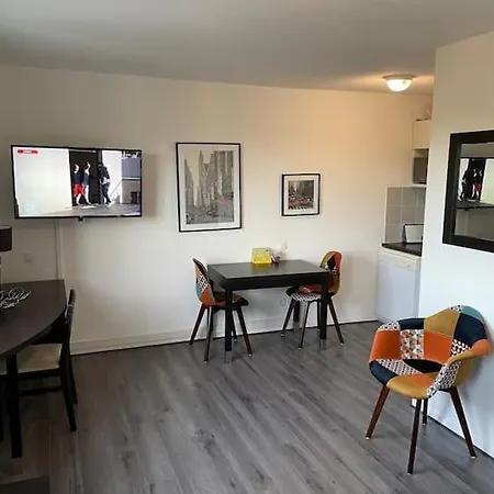 Apartament Le Fitness & Business - Airbus -piscine Tuluza