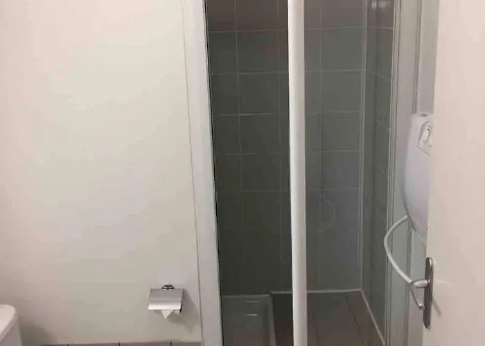 Apartment Le Fitness & Business - Airbus -piscine